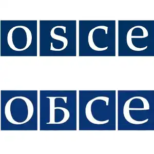 Делегация Украины намерена бойкотировать ПА ОБСЕ из-за представительства России