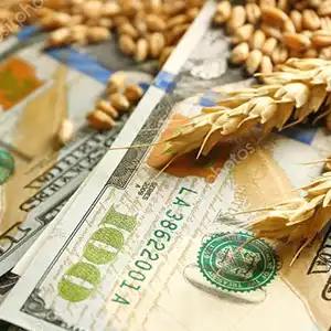 Кто зарабатывает на «зерновой» сделке?