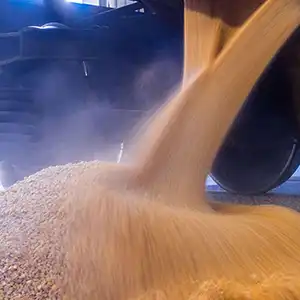 О продлении «зерновой» сделки