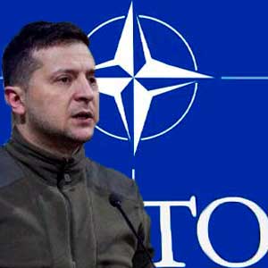 Офис Зеленского сообщил, что Украина подаёт заявку на вступление в НАТО в ускоренном порядке