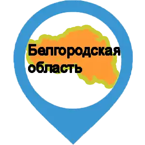 В Белгородской области за сутки зафиксировали более 30 прилетов