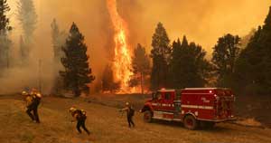 Калифорния в огне: природные пожары в США перекинулись на дома