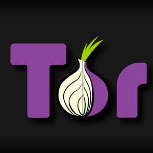 Суд в Саратове снова заблокировал браузер Tor в России
