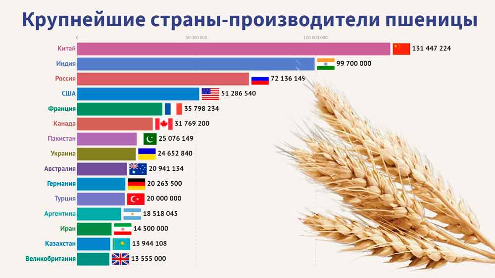 крупнейшие страны по экспорту пшеницы
