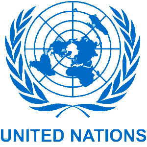 ООН приняла антироссийскую резолюцию, не признающую референдумы в Новороссии