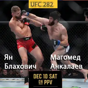 Поединок российского Анкалаева и поляка Блаховича за титул UFC завершился вничью